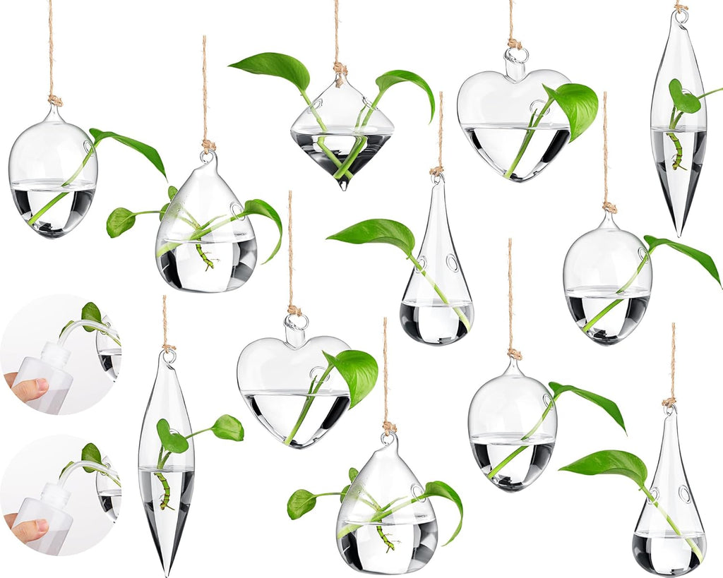 Zopeal 12 Sets Wall Hanging Glass Planter Greenhouse Terrarium Propagation Station Wall Vase Container Watering Squeeze Bottle with Rope and Hook for Hydroponic Plant Flower Home Decor (Classic Style)