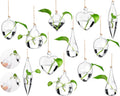 Zopeal 12 Sets Wall Hanging Glass Planter Greenhouse Terrarium Propagation Station Wall Vase Container Watering Squeeze Bottle with Rope and Hook for Hydroponic Plant Flower Home Decor (Classic Style)