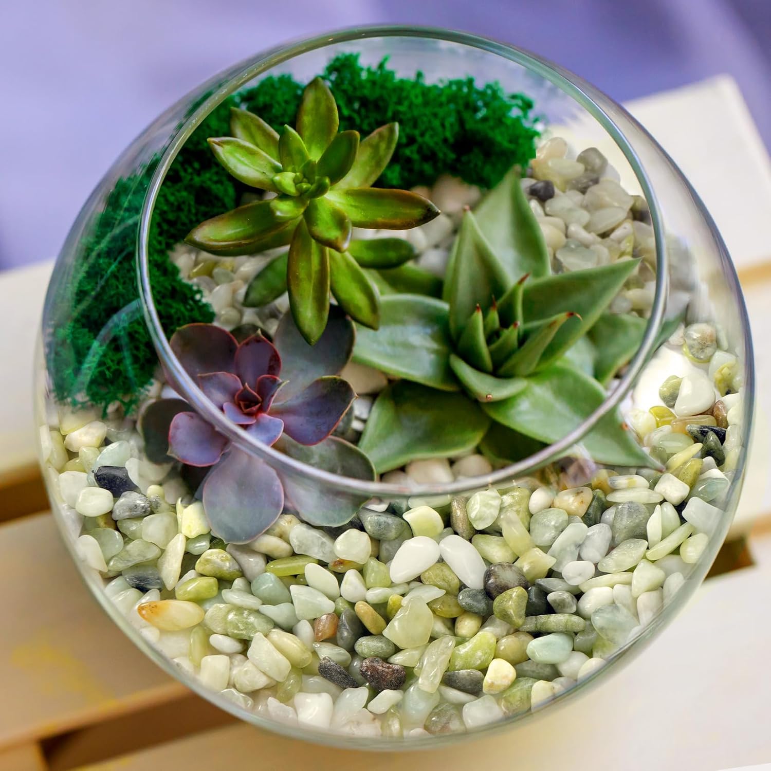 5 lb Jade Pebbles for Indoor Plants, 3/8 Inch Polished Decorative Pebbles for Vase, Bamboo, Succulent, Garden Landscape Decoration River Stone