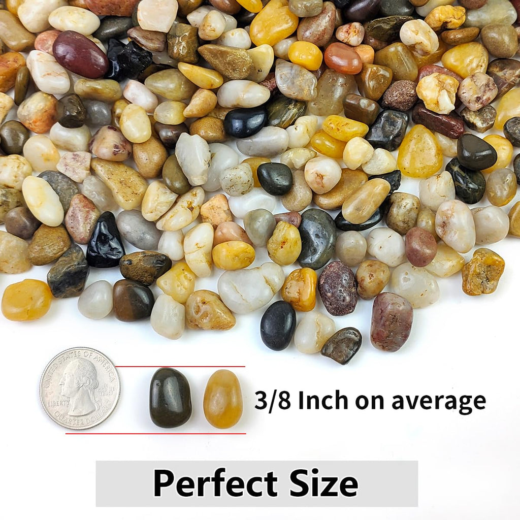 5LB Succulent and Cactus Gravel Pebbles, 3/8 Inch Decorative Polished Stones, River Rocks for Plants, Vases, Aquariums, Terrarium and Outdoor Gardening, Natural