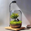 Glass Plant Terrarium Kit, 6.3"X8.6" Micro-Landscape Vase with Light, Snowman and Pine Trees, for Home Office Tabletop Decoration, Wardian, Unique
