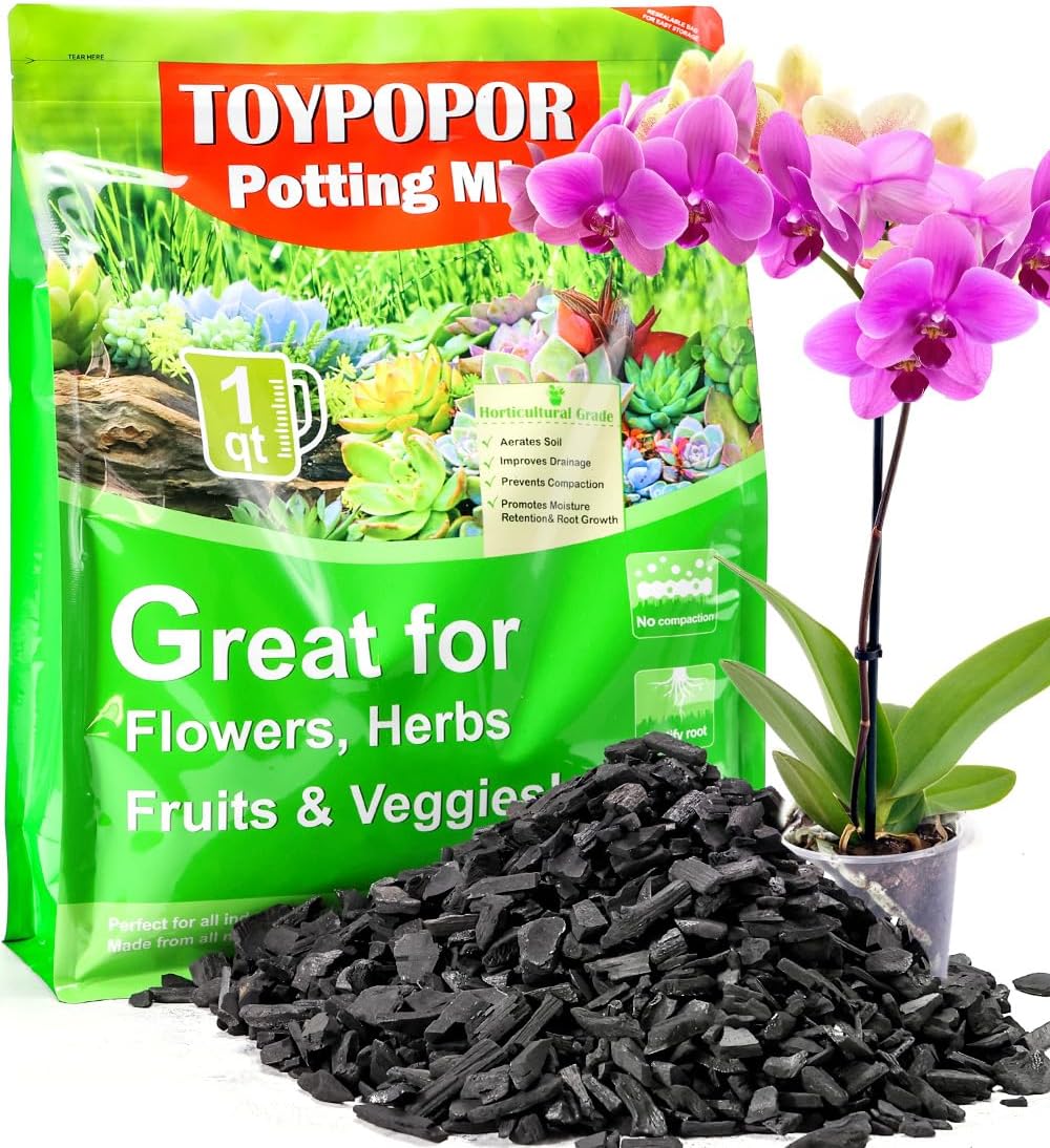 TOYPOPOR Horticultural Charcoal for Indoor Plants Hardwood Potting Soil Amendment Helps Improve Drainage for Orchids, Succulent, Cactus, Terrariums, and Gardening 1Quart
