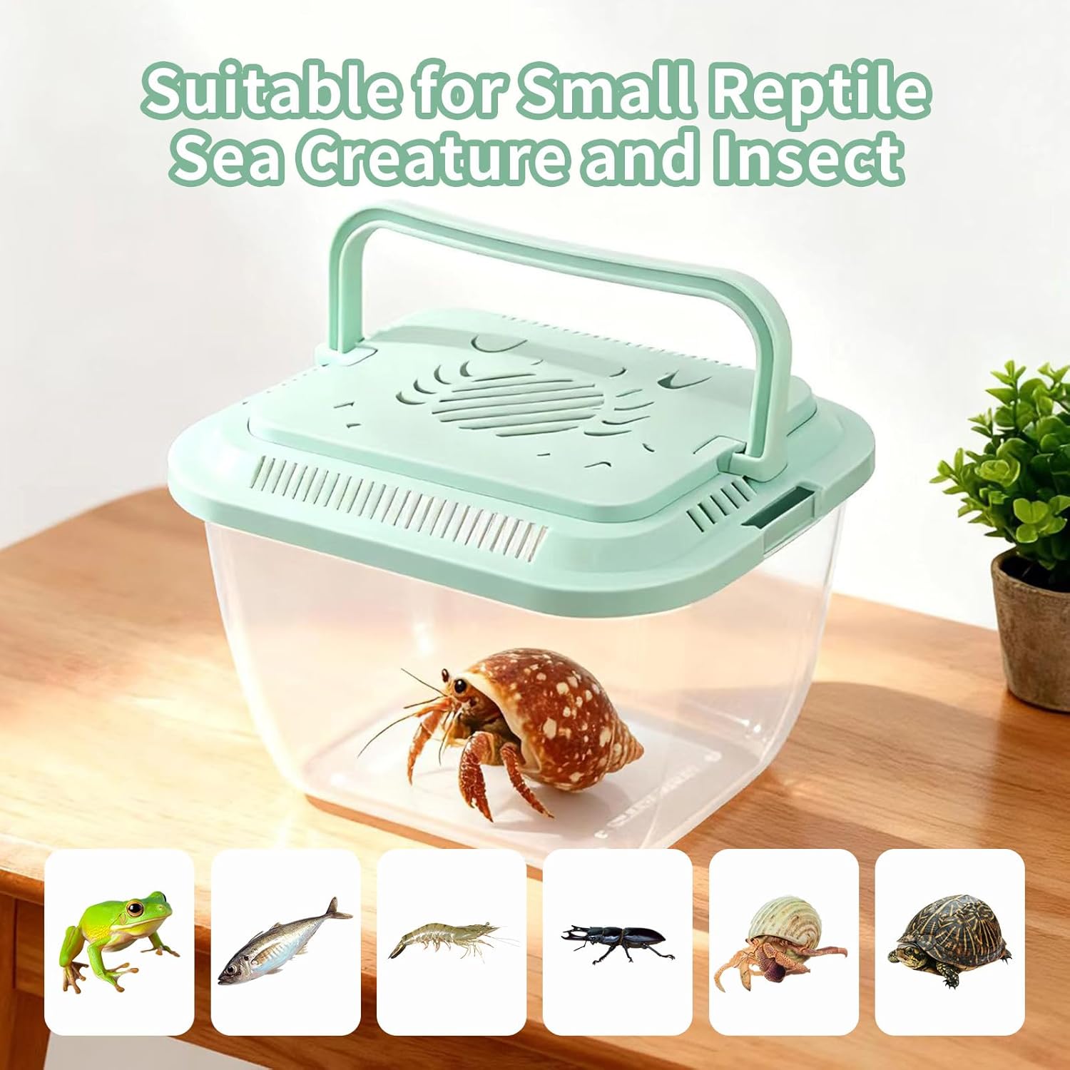 4 Pack Transparent Plastic Terrariums Carrier Cage with Handle, Fish Transport Container, Portable Tank for Hermit Crab, Fish and Other Sea Creature or Insect (2 Large + 2 Small)