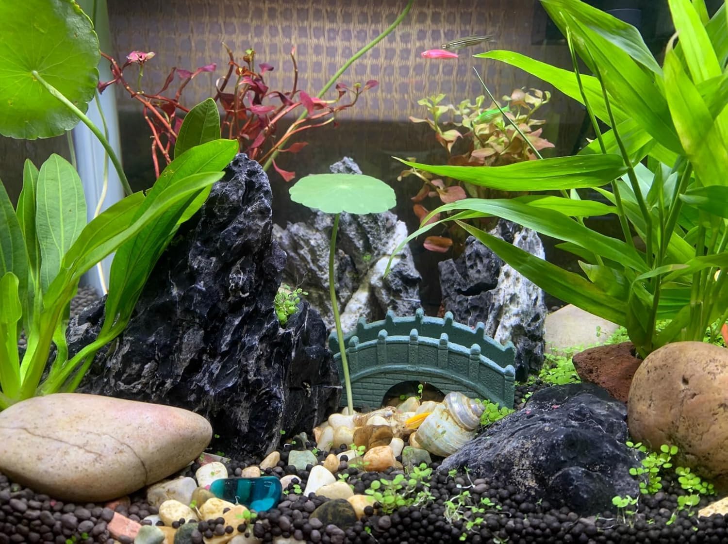 Unocho Seiryu Stone Aquarium Rocks 40lb Natural Fish Tank Rocks for Aquascaping Garden Landscaping Decoration Paludarium Amphibian Enclosures(3-12 Inches)