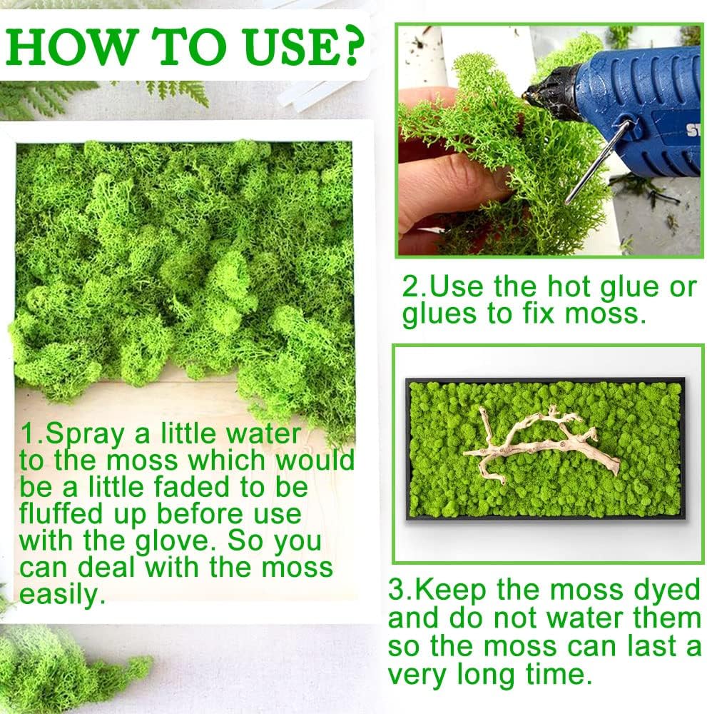 Preserved Reindeer Moss 17.6 OZ Dark Green Natural for Crafts, DIY Gift Christmas Decor, Wall Art, Potted Plants, Fake Moss for Easter Table Decor Wedding Decorative(1.1 LB, Dark Green)