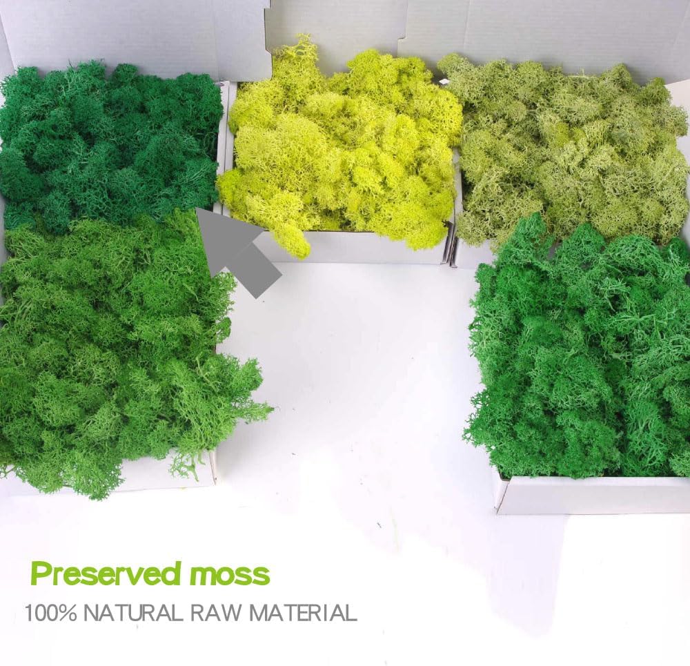 Preserved Moss-3.5 OZ Moss for Crafts Faux Moss Decor Natural Green Moss for Art Wall Florist Decor(Turquoise 3.5 OZ)