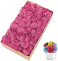Preserved Moss for Crafts Pink Reindeer Moss for Potted Plants, Craft Decorative Moss Decor for Wall Art, Dried Moss(7oz, Pink)
