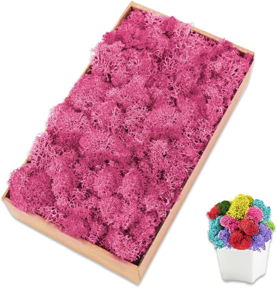 Preserved Moss for Crafts Pink Reindeer Moss for Potted Plants, Craft Decorative Moss Decor for Wall Art, Dried Moss(7oz, Pink)