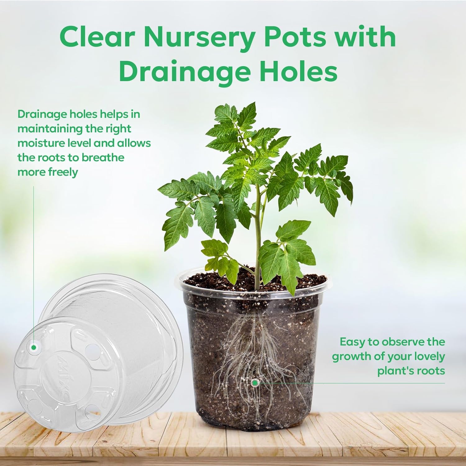 50 Packs 4 Inch Reinforced Clear Nursery Pots with Drainage Holes, Transparent Plastic Plant Pot Seedling Planter for Vegetable Propagation, Root Cutting, Seed Starting
