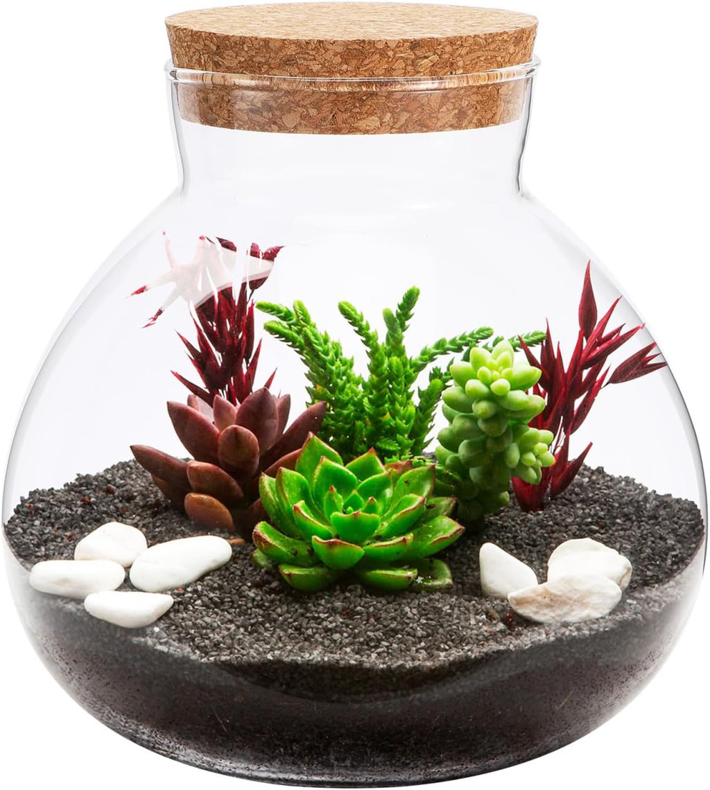 YARNOW Glass Terrarium Jar with Cork Lid, Round Transparent Micro Landscape Bottle for Moss, Succulents, and Home Decor, 5.5 Inch
