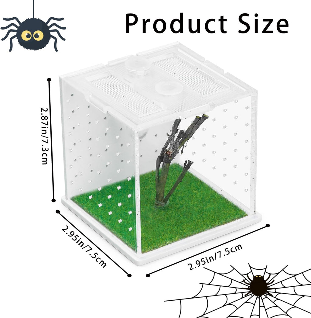 Jumping Spider Enclosure Acrylic Reptile Breeding Tank 2.95x2.95x2.87 Inches, Transparent Tarantula Habitat with Dropper, Feeding Box for Small Insects, Lizards, or Pet Terrarium (Clear)