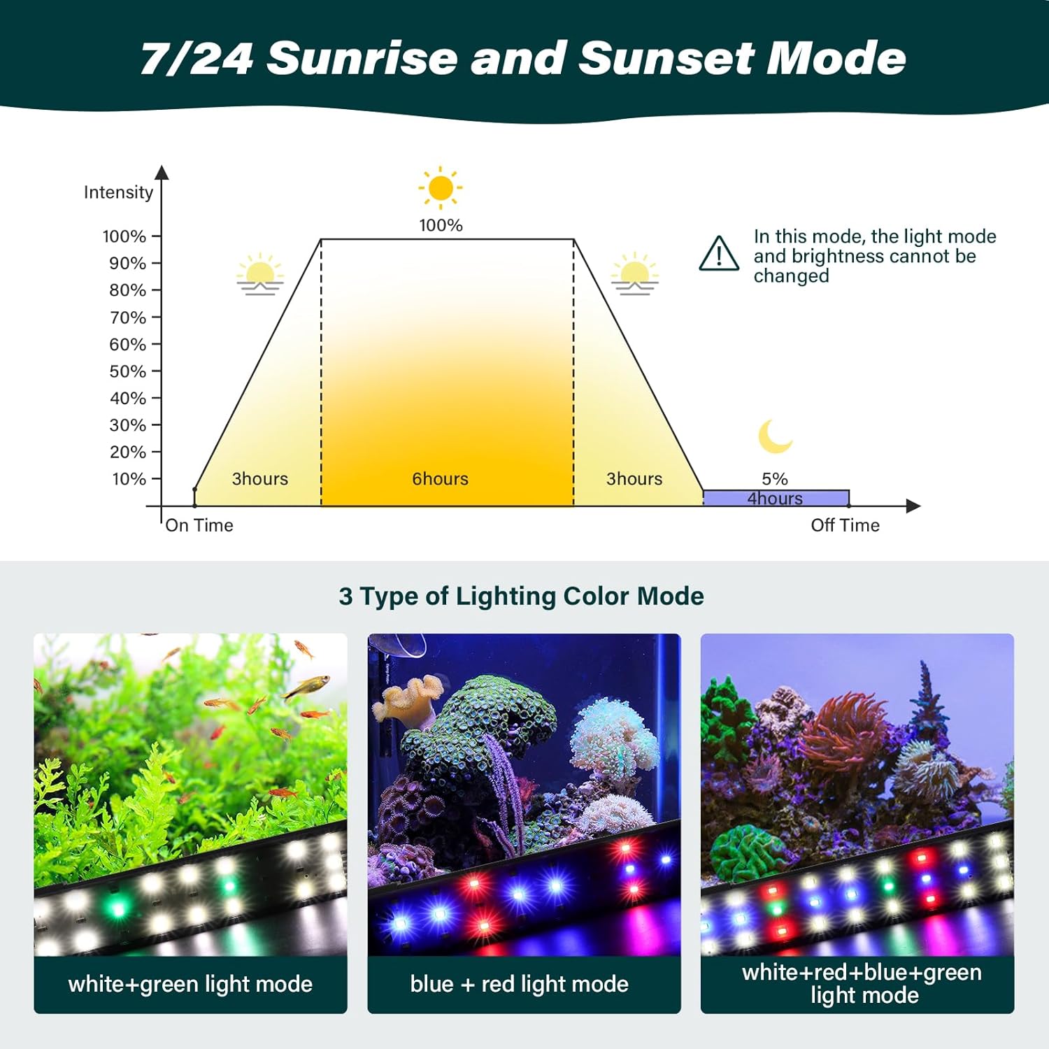 AQQA Aquarium Clip On Light,Fish Tank Full Spectrum LED Light,24/7 Sunrise Sunrise Mode+10 Adjustable Brightness Levels+Detachable Bracket+RGB LEDs + USB and Adapter,for Freshwater (8W)