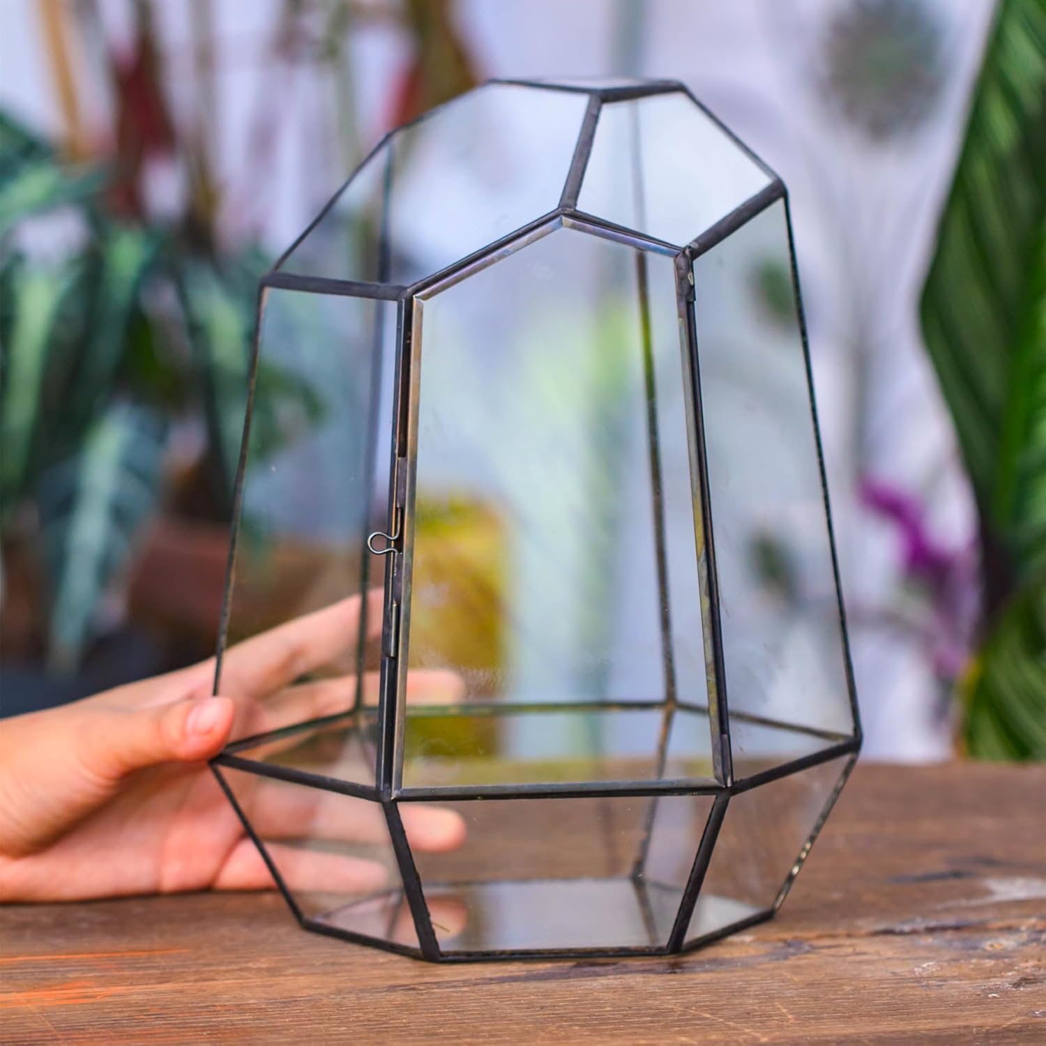NCYP Close Geometric Glass Terrarium with Door - 9.8 inches Tall Irregular Planter for Succulents, Small Cacti, Modern Home Garden Tabletop Decor, Black, Handmade (Plants NOT Included)