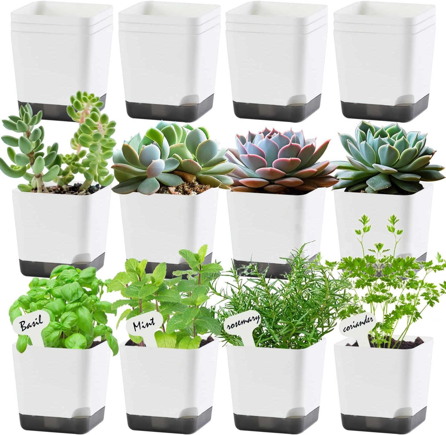 3 inch Small Nursery Pots, Seedling Pots, 20 Pack Plastic Plant Pots for Indoor Outdoor Plants, Decorative White Succulent Flower Pots with Drainage Holes and Saucers