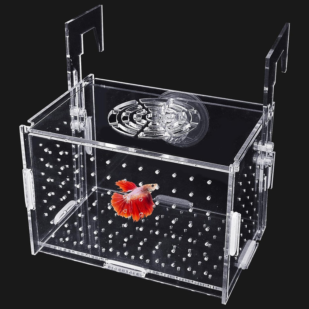 Hamiledyi Acrylic Breeding Isolation Box - Transparent Aquarium Hatchery for Guppy/Shrimp/Small Fish, Safe Nursery Tank with Air Tube & Suction Cups(5.9" × 3.9" × 3.9")