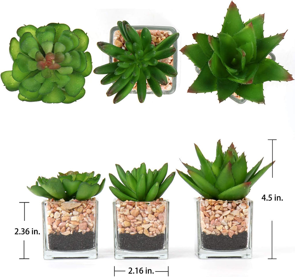 Briful Mini Fake Plants 3 Packs Cute Succulents Artificial Plants in Square Glass Vase Pot Potted Faux Succuletns for Living Room Dining Room Bathroom Kitchen Windowsill Table Decor