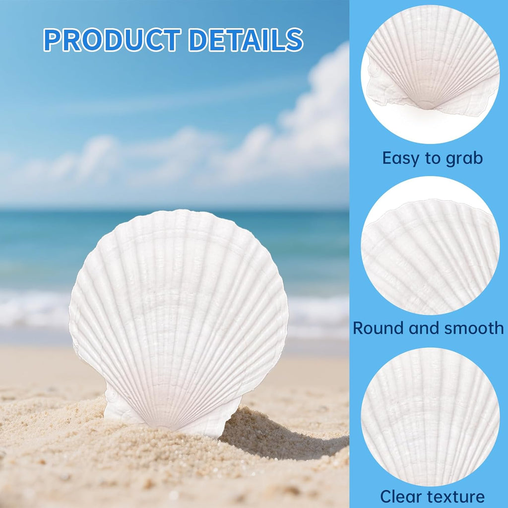 36PCS Natural Scallop Shells for Crafts, 2-3 Inch White Sea Shells for Decorating, Genuine Beach Seashells for DIY Craft Making, Painting, Cooking, Ocean Themed Party Supplies & Decorations