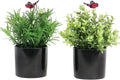 7" H Fake Plants Indoor 2 Pack Small Artificial Plants,Topiary Greenery Mini Potted Plants for House Office Tabletop Decoration