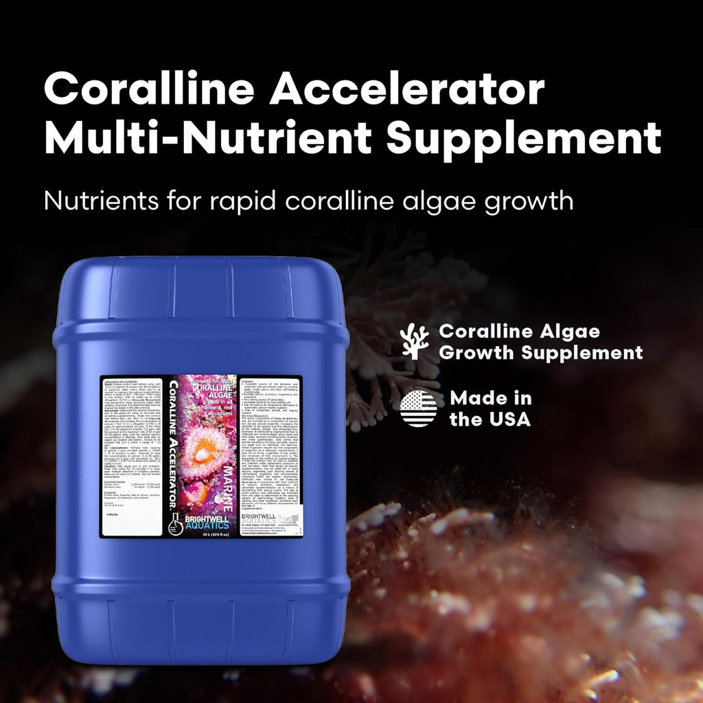Brightwell Aquatics - Coralline Accelerator - Multi-Nutrient Supplement for Coralline Algae Growth in Marine and Reef Aquariums - Aquarium Water Treatments, 5.28 GAL