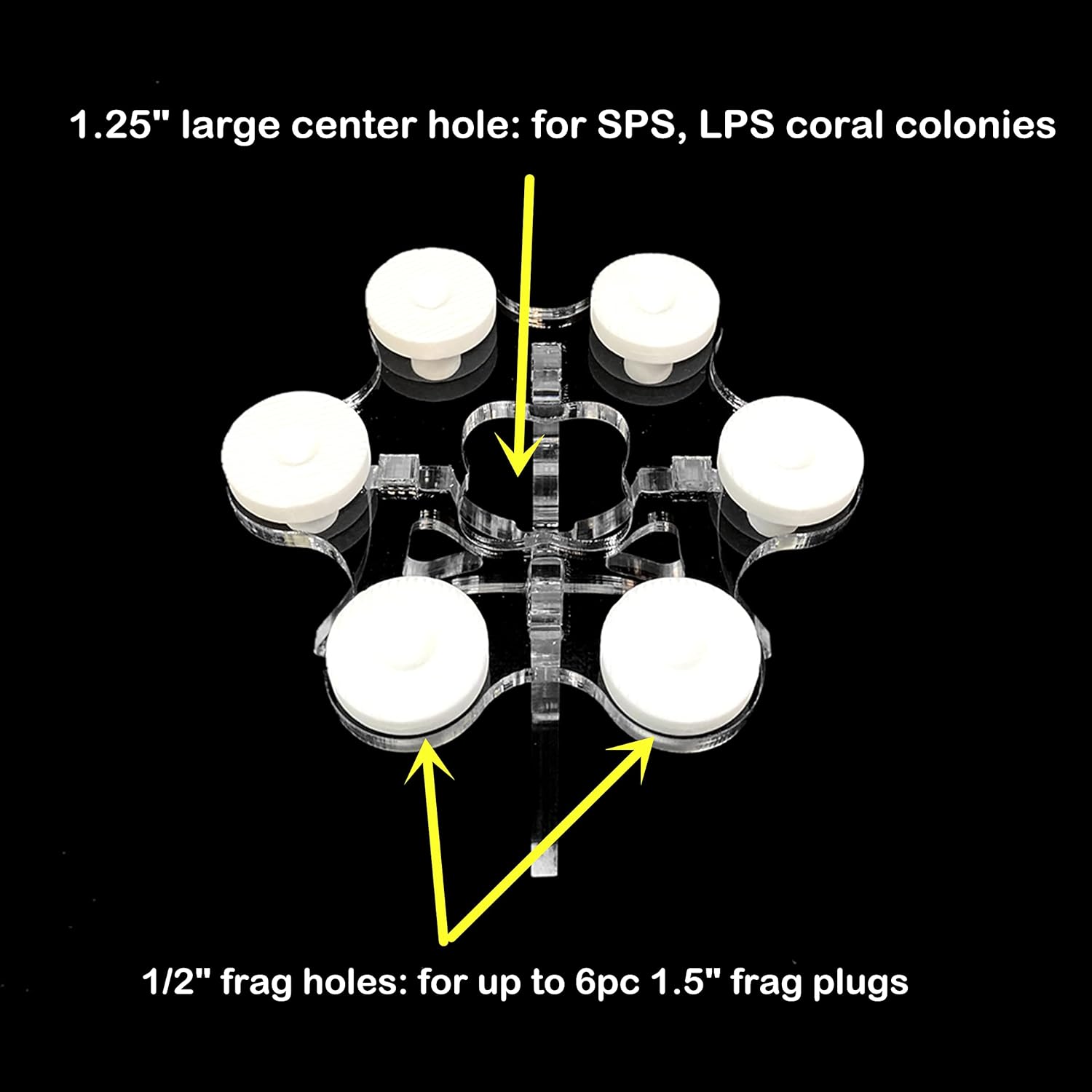 Coral Frag Rack Colony Holder Bottom Sand Bed Frag Plug Holder (Set of Three)