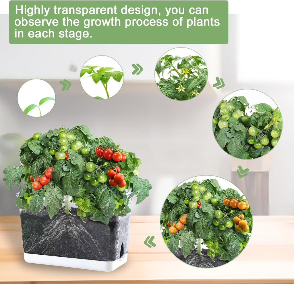 Self Watering Planters - 4 Pack Rectangular Clear Plant Pots with Drainage Holes for Indoor Plants