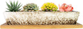 ARTKETTY Succulent Pots, 9.8 Inch Ceramic Succulent Planters with Drainage Small Bonsai Pot with Bamboo Tray, Mini Cactus Flower Planter Pot Shallow Rectangular Window Planters for Indoor Plants