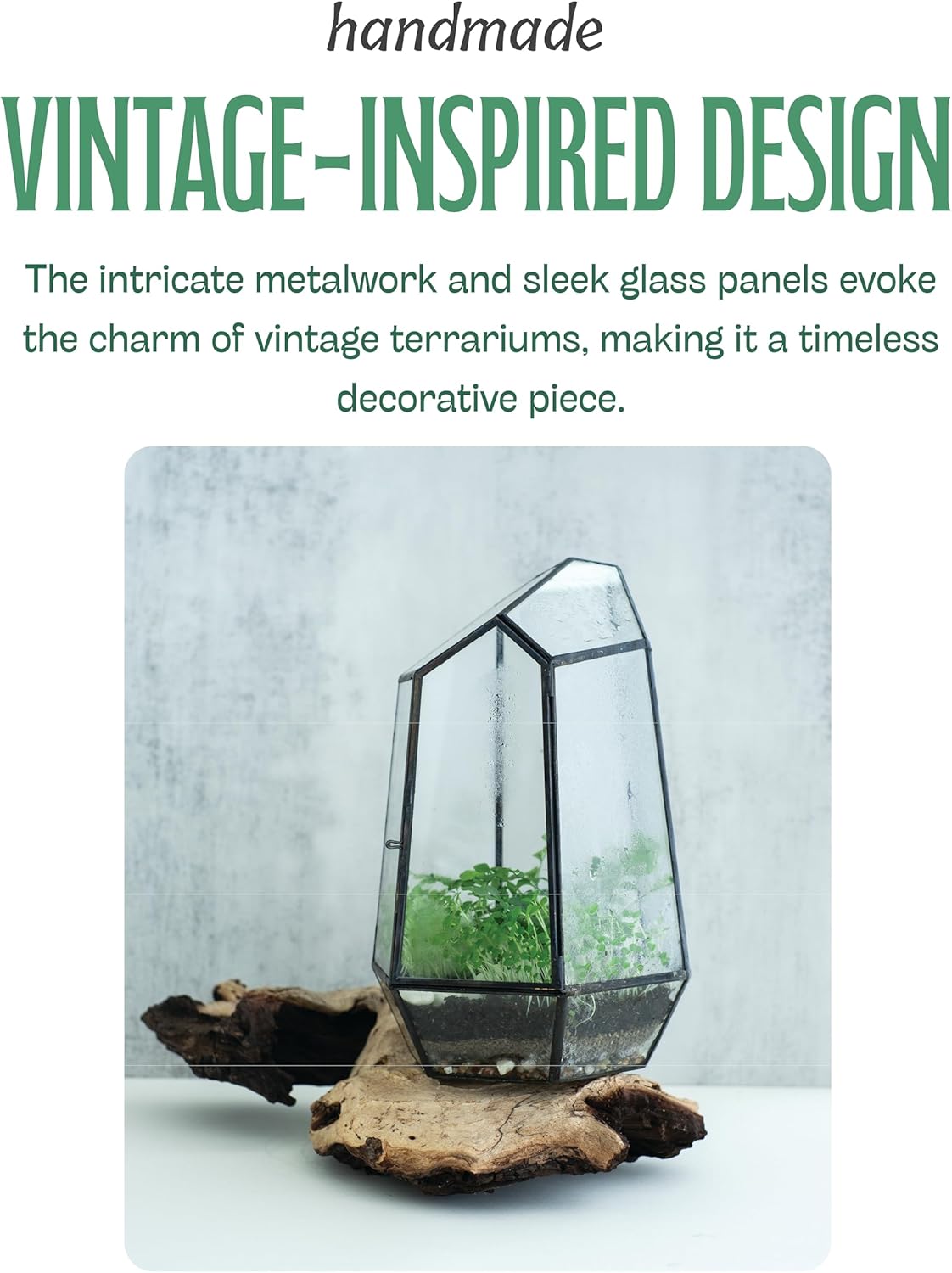 KraftStories Clear Glass Terrarium with Door | Geometric Design Container | Ideal Planter for Moss and Indoor Plants | Maintains Humidity | Self-Sustaining Indoor Garden Ecosystem (Only Terrarium)