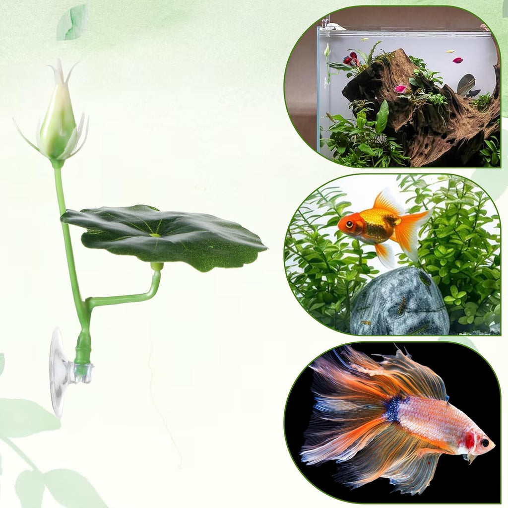 3 Pcs Betta Fish Bed Betta Leaf Hammock Suction Cup Tank Decor Fish Toys Leaf Pad Leaves Tank Accessories Simulates Natural Habitat Comfortable Rest Area