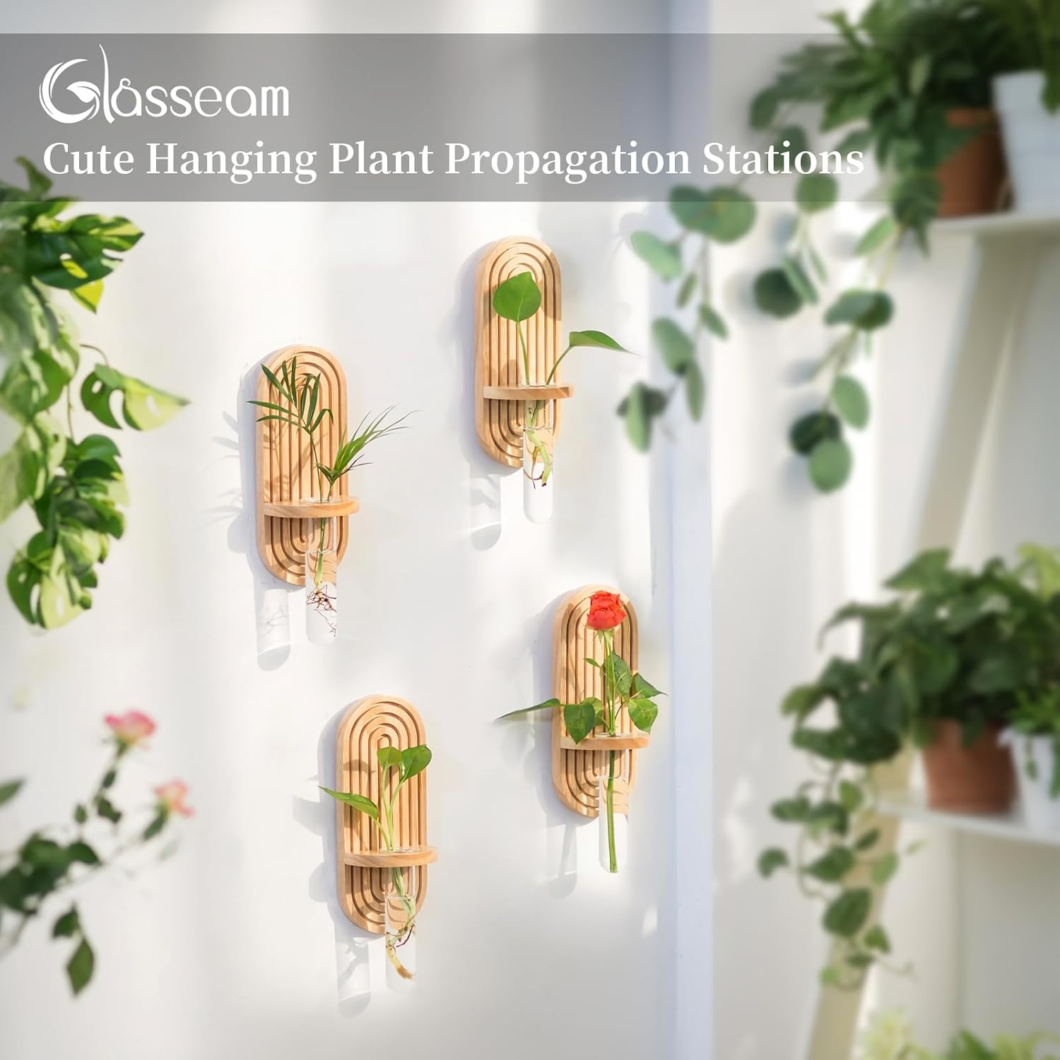Glasseam Hanging Plant Propagation Stations: Rustic Wall Planter Set of 4 Planters for Indoor Plants Wood Plant Holder Decorative Glass Terrarium Test Tube Propogation Vase for Home Office Decor