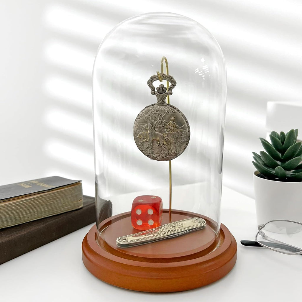 Plymor 4" x 7" Watch/Ornament Glass Display Dome