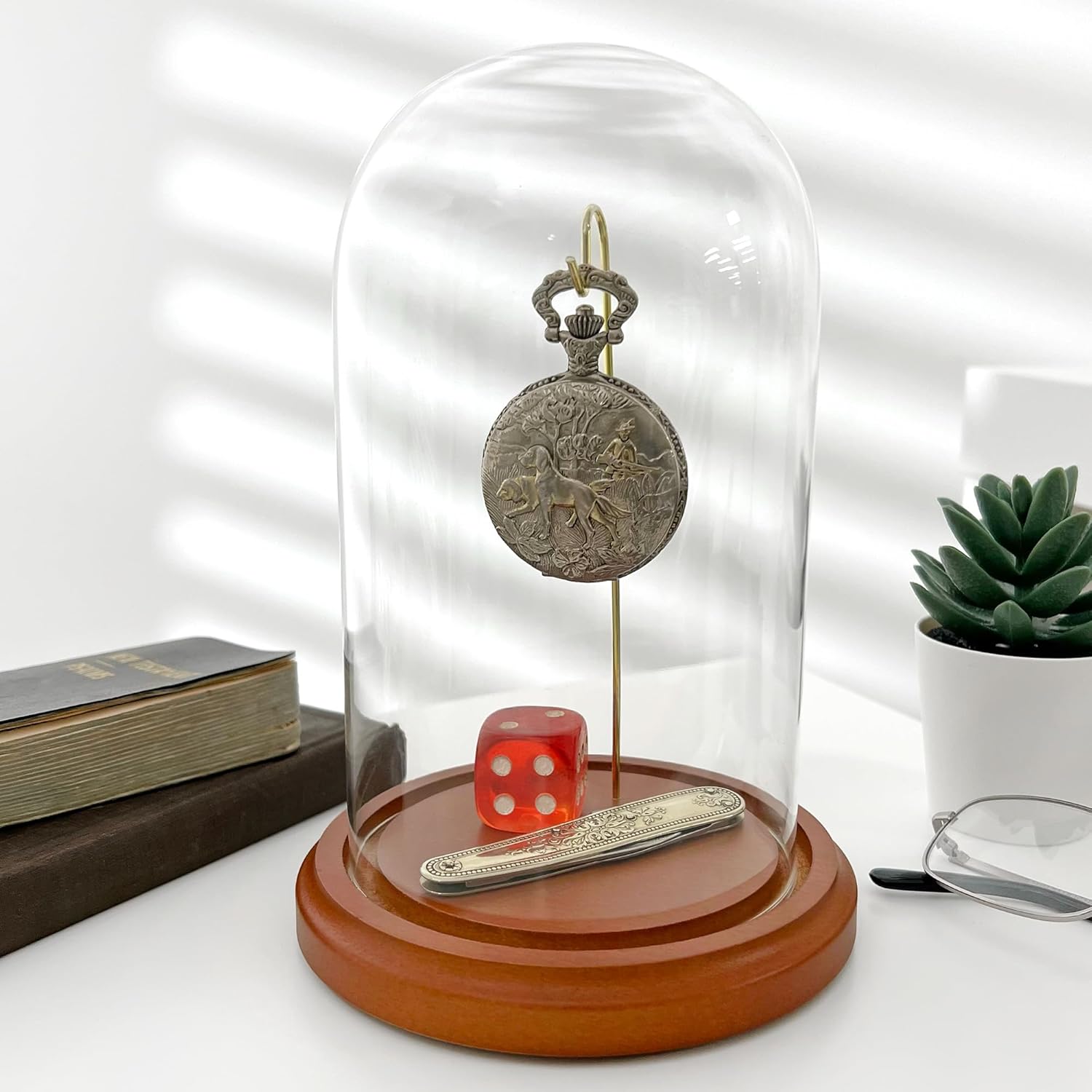 Plymor 4" x 7" Watch/Ornament Glass Display Dome