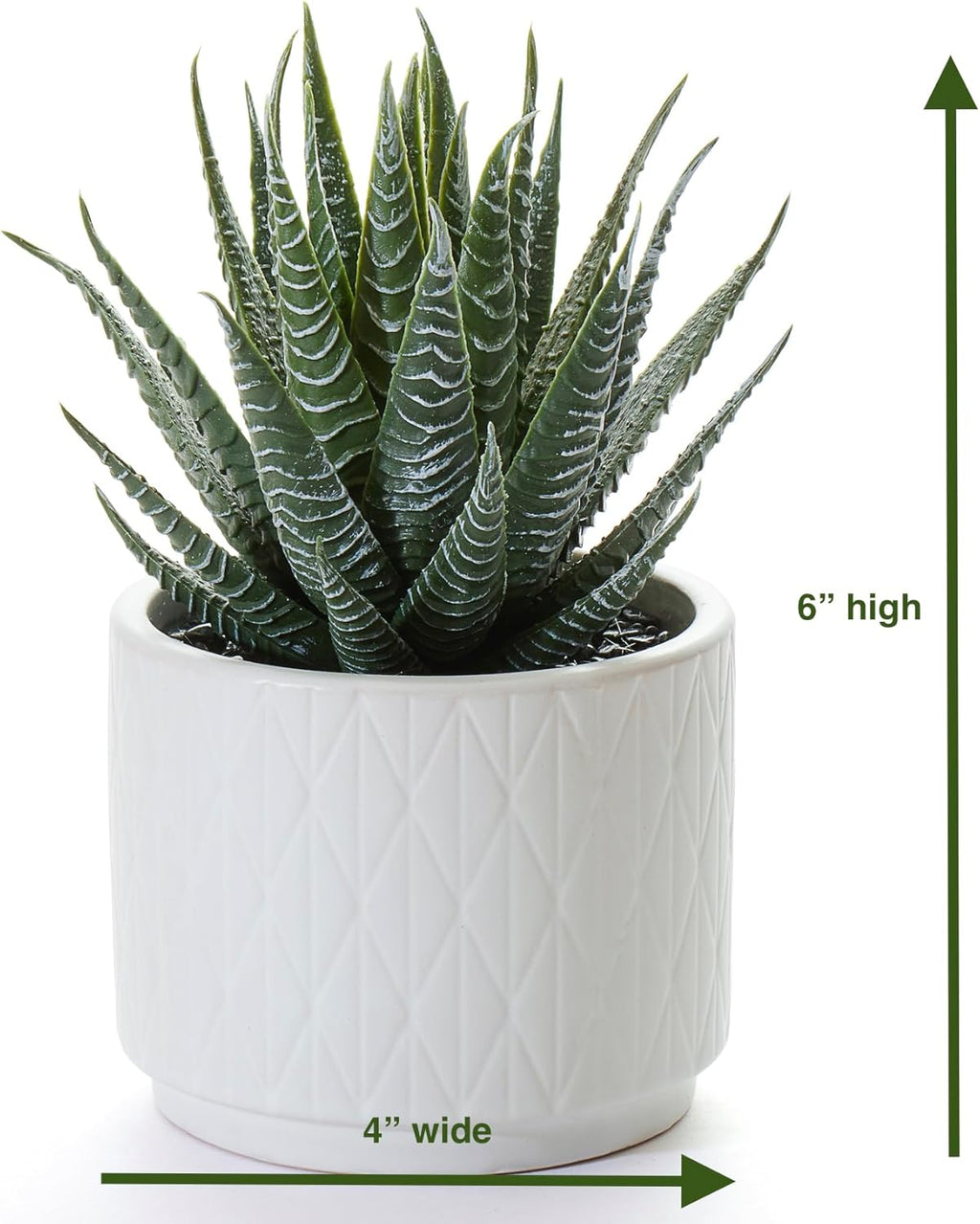 Artificial Succulent Plant in Matte White Ceramic Pot | 6.5" high Dark Green Aloe Plant | Great as desk decor or bathroom decor | beautiful realistic faux succulent with no maintenance