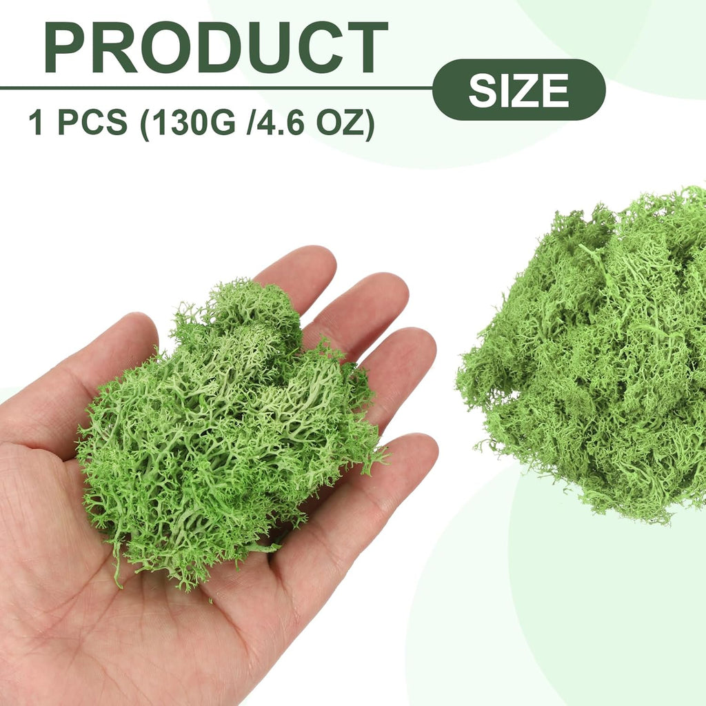 MECCANIXITY 4.6oz Preserved Reindeer Moss, Grass Green Decorative Artificial Fake Moss for Potted Plants Indoor Crafts Lichen Centerpieces Decor