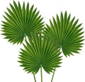 Large Pu Foam Green Artificial Palm Leaves Faux Palm Tropical Leaves Fake Palm Fronds for DIY Wedding Bouquets Fake Leaves for Centerpieces Arrangements Bridal Shower Palm Leaf for Home Decor-3 Pcs
