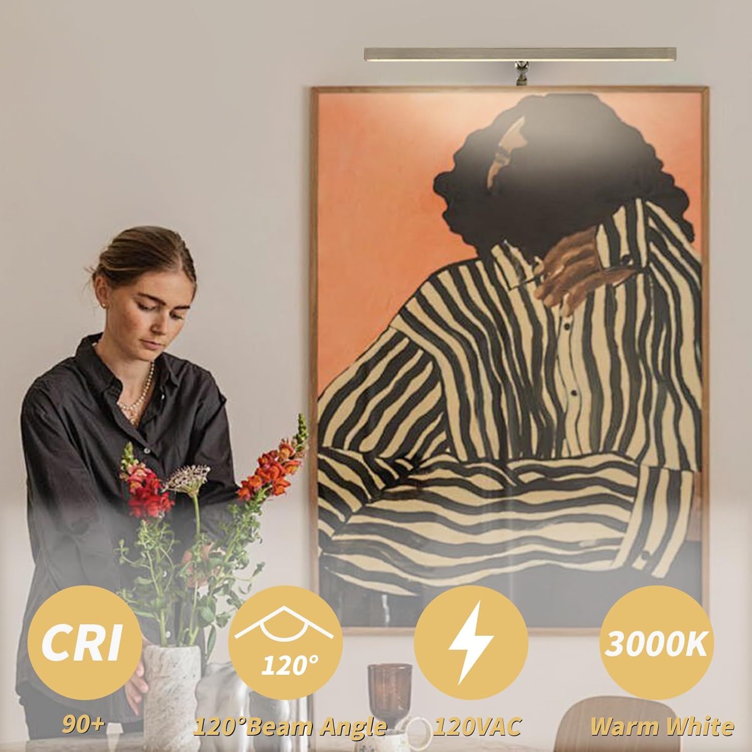 2 Pack LED Picture Lights for Paintings Plug in, 16 Inch 4W Adjustable Art Light Gallery Wall Light for Display Art Work, Antique Brass Finish, CRI90+, 3000K Warm White