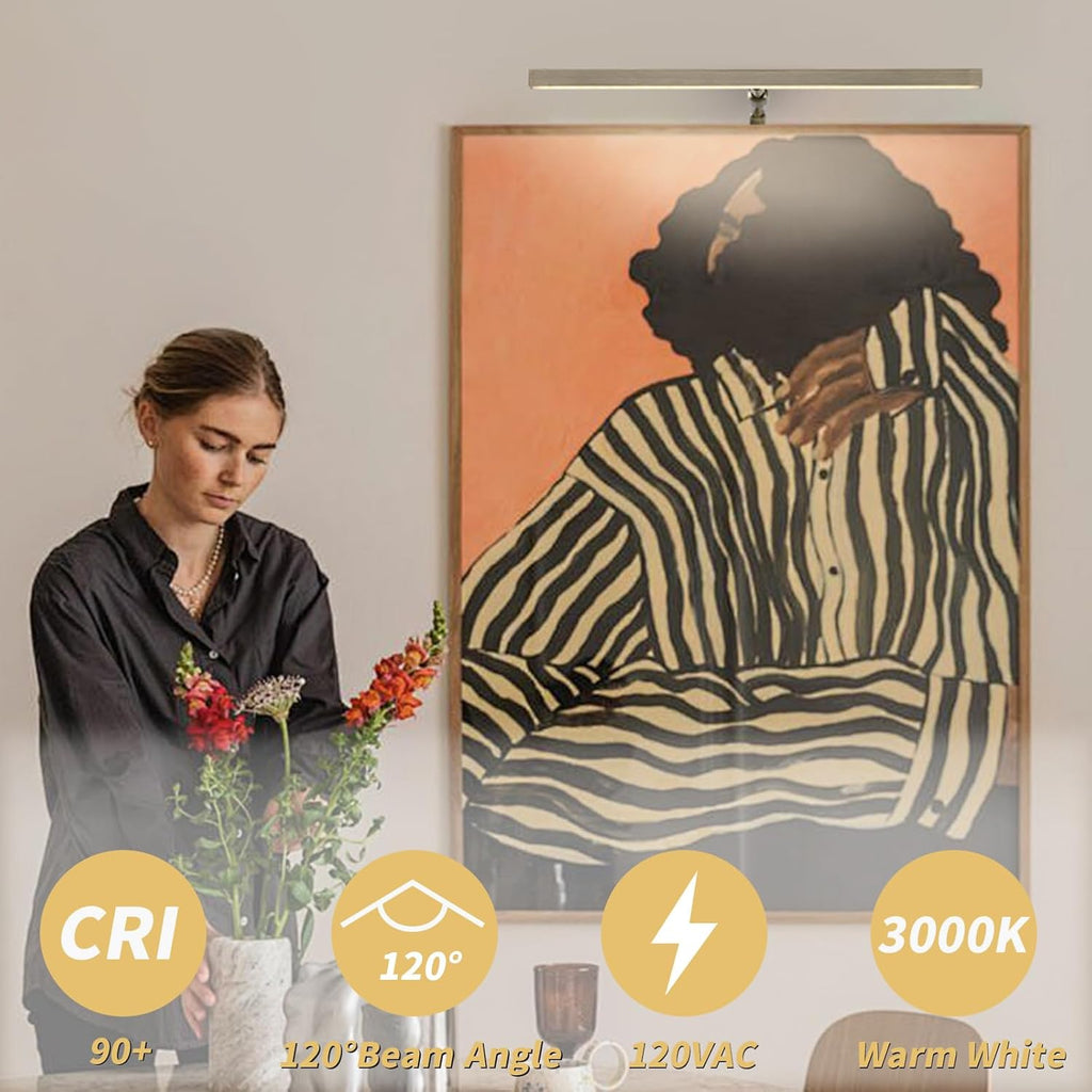 LED Picture Lights for Paintings Plug in, 16 Inch 4W Adjustable Art Light Gallery Wall Light for Display Art Work, Antique Brass Finish, CRI90+, 3000K Warm White