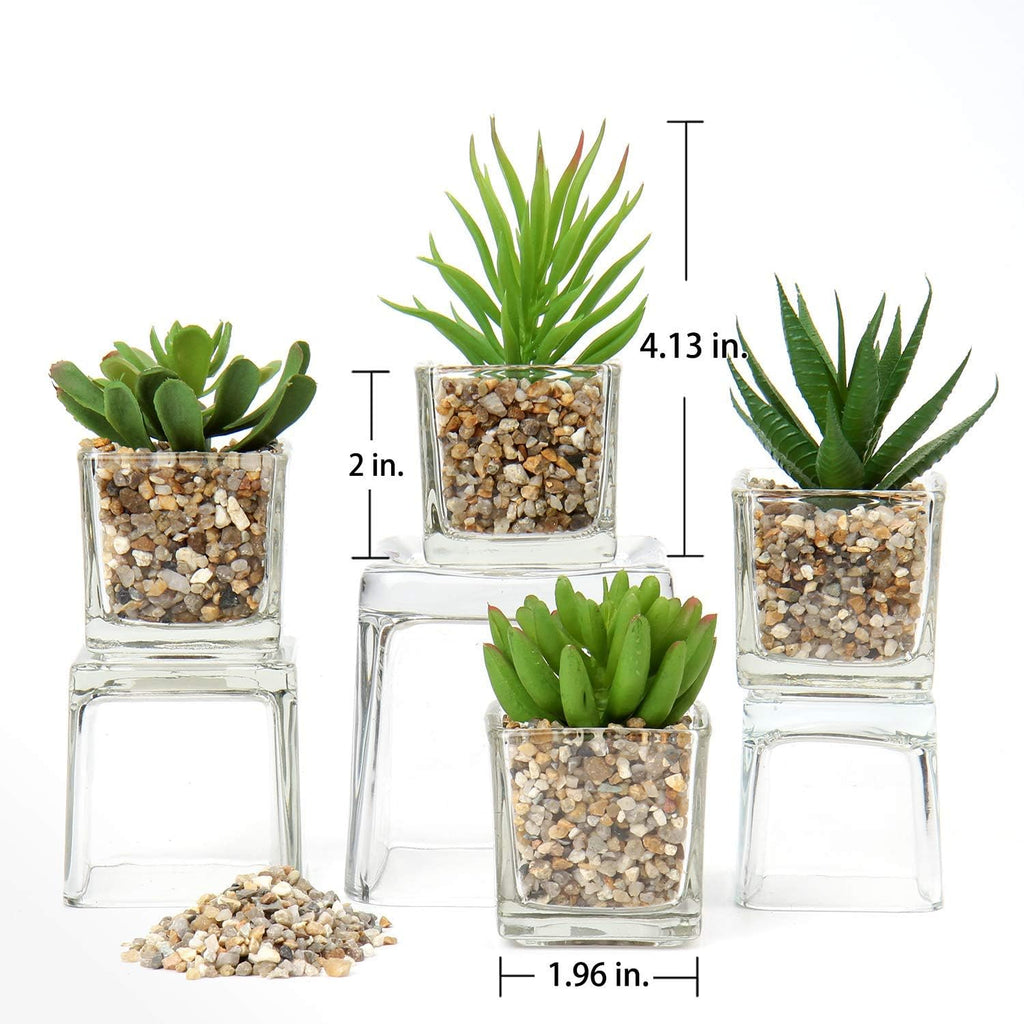 Briful Set of 4 Succulents Plants Artificial in Clear Glass Pots Small Fake Succulents Plants Mini Faux Plants Indoor for Window Sill Office Table Desk Shelf Bathroom Decor