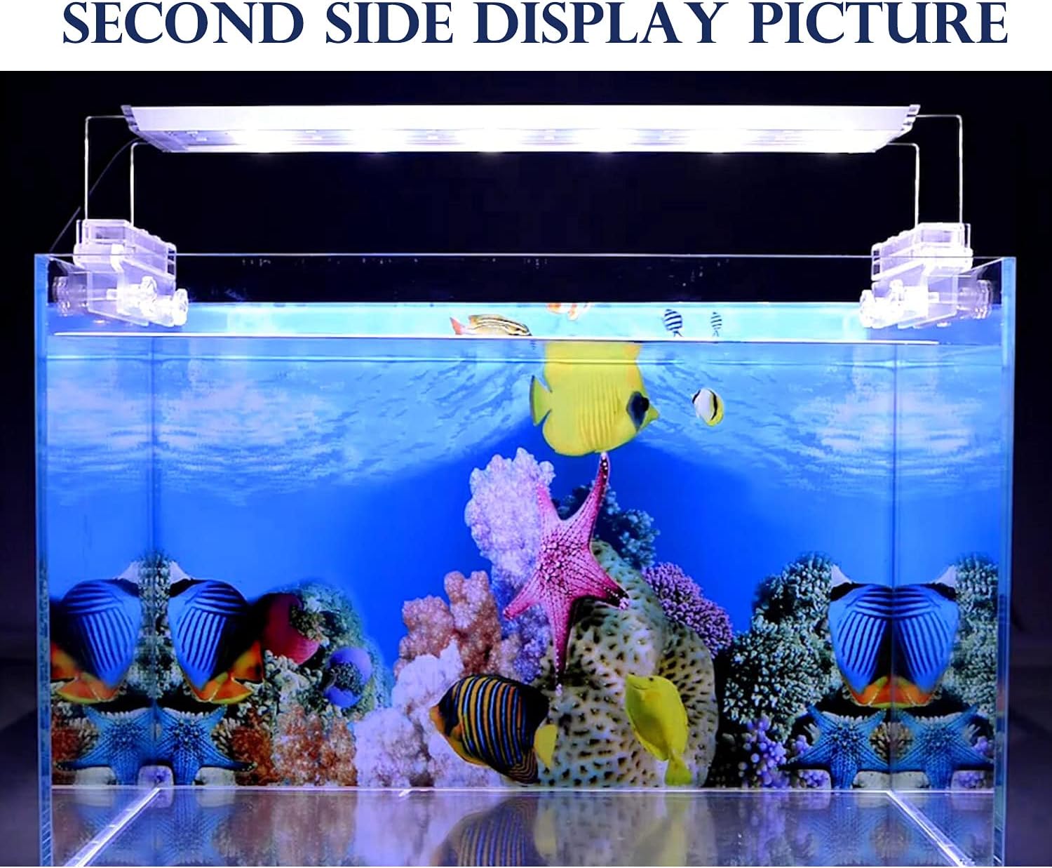 ELEBOX Water Plants Aquarium Background Poster HD Fish Tank Background Decorations Landscape 2 Sided 16"x 40"