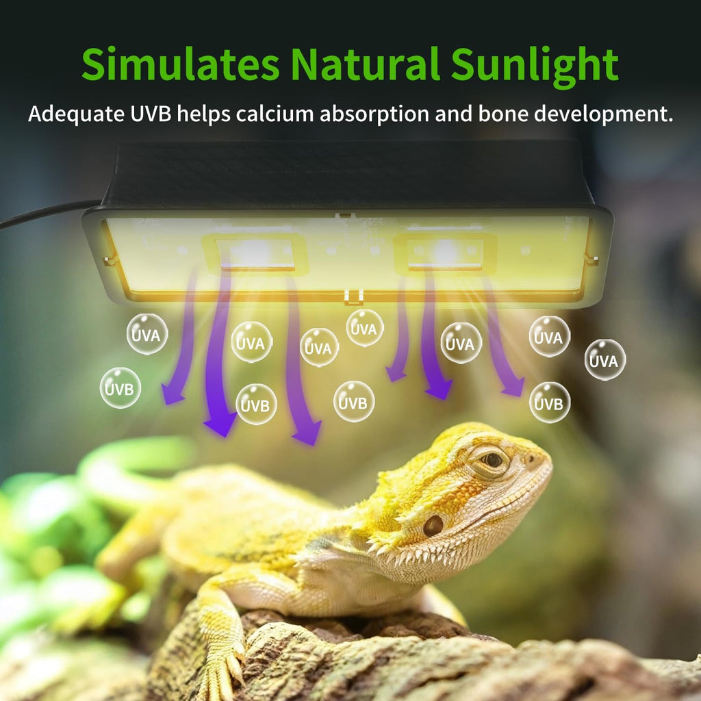 LED UVB Reptile Light – Dual UVA/UVB Lamp with Dimmer, 2 UV Modes, Timer & Fan Cooling, 10W for Turtles, Lizards, Snakes, Glass or Mesh Terrariums (6500K)