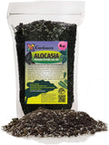 Gardenera Alocasia Potting Mix - Promote Strong Roots and Captivating Foliage with Our Premium Blend - 4 Quart, MAIN-ALOCASIA-4QT