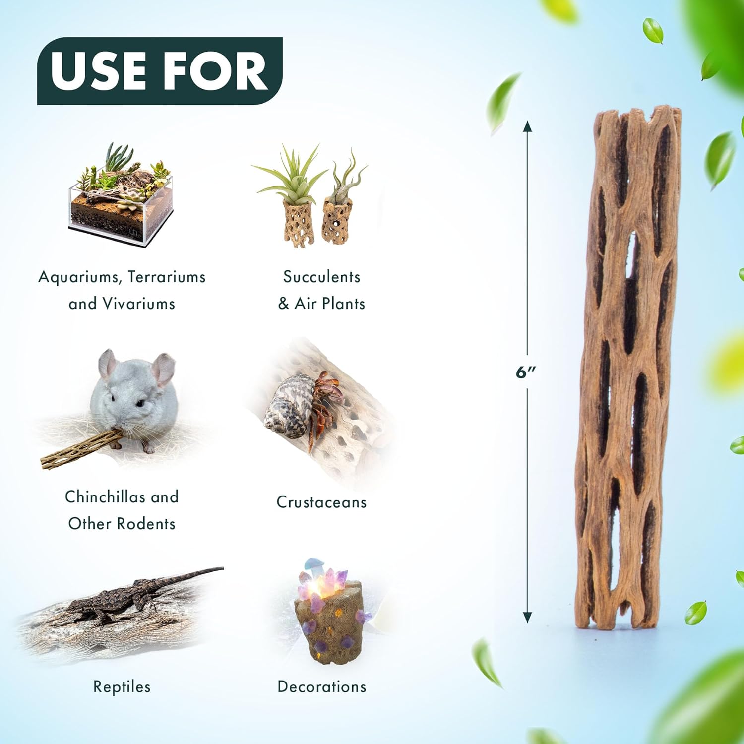 SubstrateSource Natural Cholla Wood - Driftwood for Aquariums, Air Plant Base, Hermit Crab and Freshwater Shrimp Hideout, Fish Tank Decoration, Chinchilla Chews, Reptile Habitat Wood - 6 Inch, 2pc