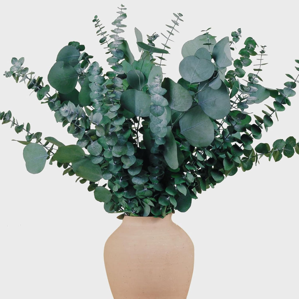 22 Pcs Large Dried Eucalyptus & Silver Dollar Leaves Bundle - Natural Real Fresh Eucalyptus, 17" Preserved Eucalyptus Stems for Shower Hanging, Bathroom Decor, Garland, Greenery Plant (22)