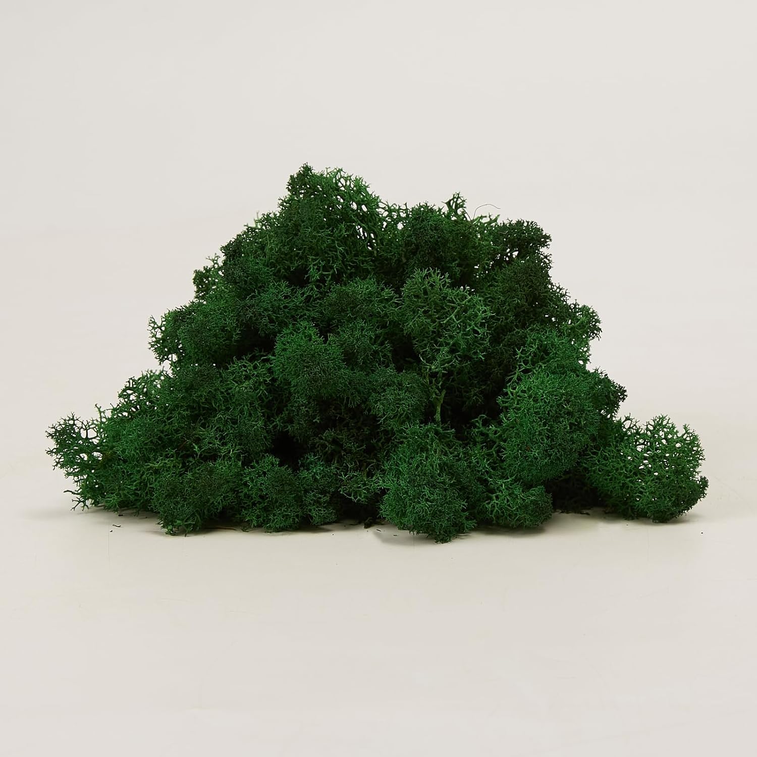 Preserved Reindeer Moss Natural Green DIY Kit Gardenning Art Wall Decor Florist Decor Easter Table Decor Wedding