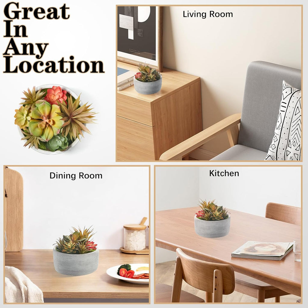Artificial Succulent Plants Potted Indoor with Ceramic Pot - Fake Low Maintenance Plants for Bedroom, Bathroom, Coffee Table Decor - Home Office Desk & Room Aesthetics