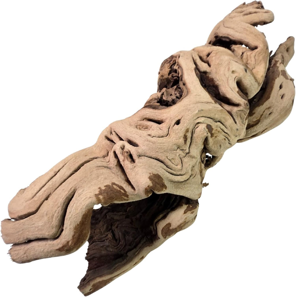 Koyal Wholesale 18" Hollow Grapewood Branch Decor 1Pcs Grapewood Centerpiece Vase Air Plants Sand Blasted Grapevine Wood Untreated Terrarium Wood Driftwood Decor