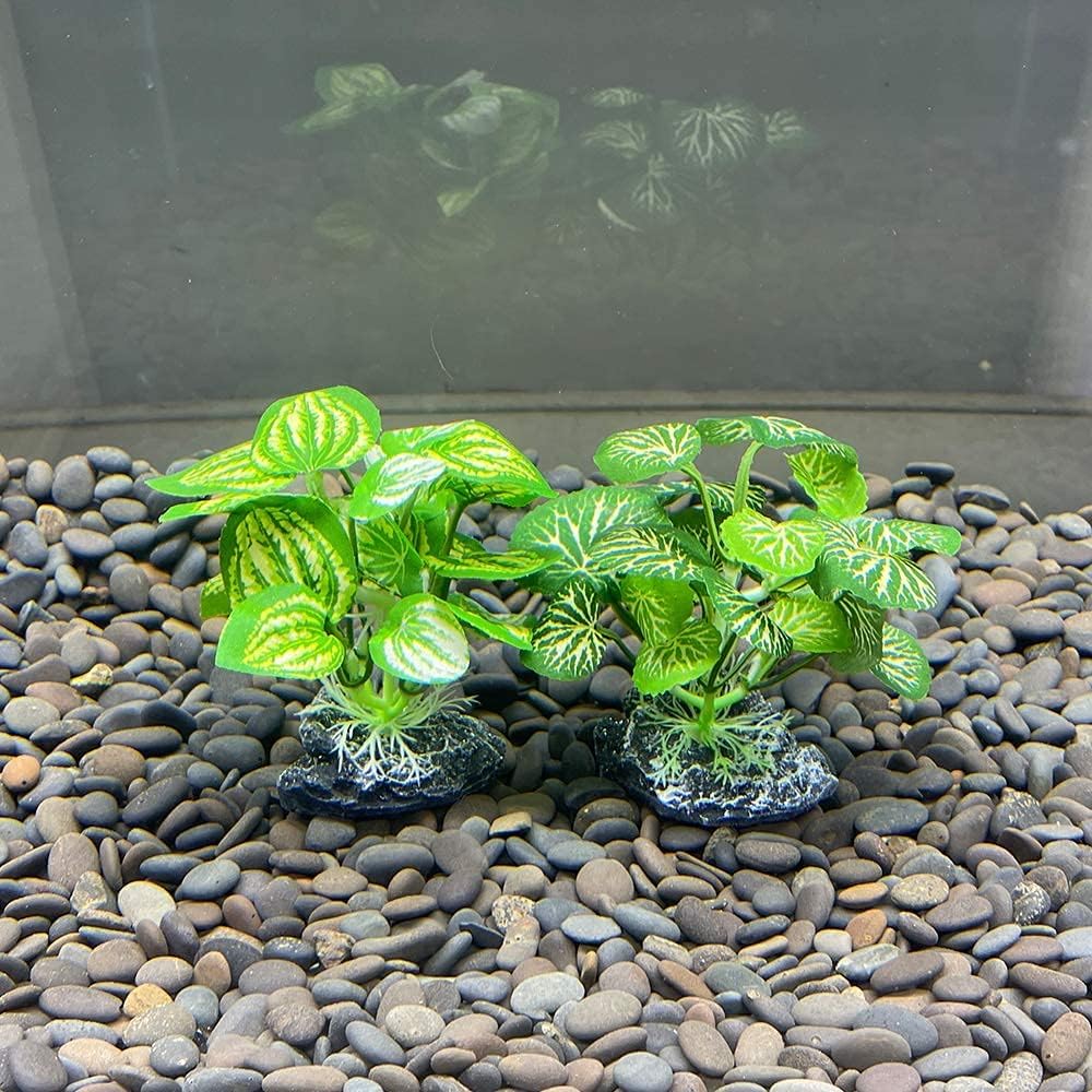 Smoothedo-Pets Aquarium Plants Betta Fish Tank Decorations 4inch/2pcs Soft Silk Artificial Plant Goldfish Waterscape Fish Hides Snake Tank/Reptiles Plants(A-2pcs Set/Green)
