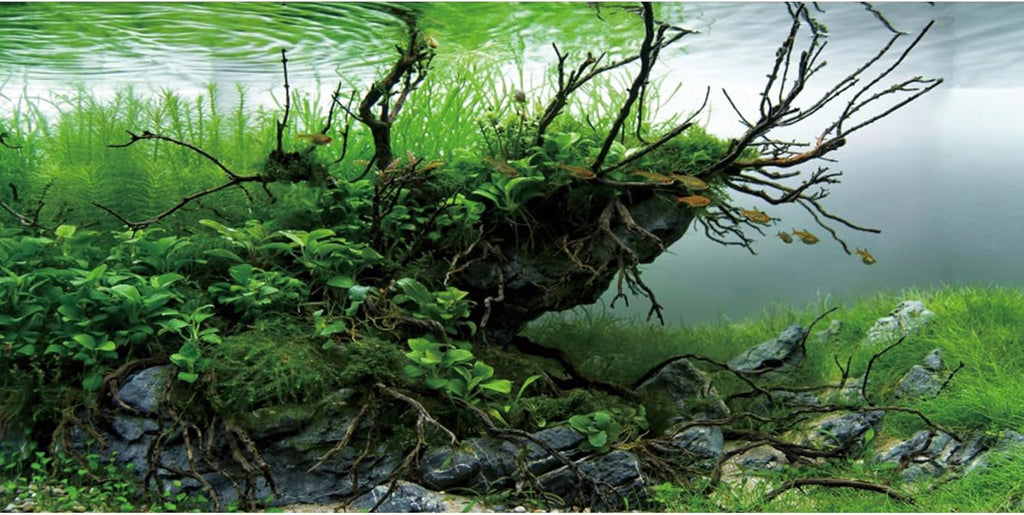 AWERT 48x24 inches Branches Fish Tank Background Seaweed Aquarium Background River Bed & Lake Aquarium Background Vinyl Background