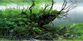 AWERT 36x18 inches Branches Fish Tank Background Seaweed Aquarium Background River Bed & Lake Aquarium Background Vinyl Background