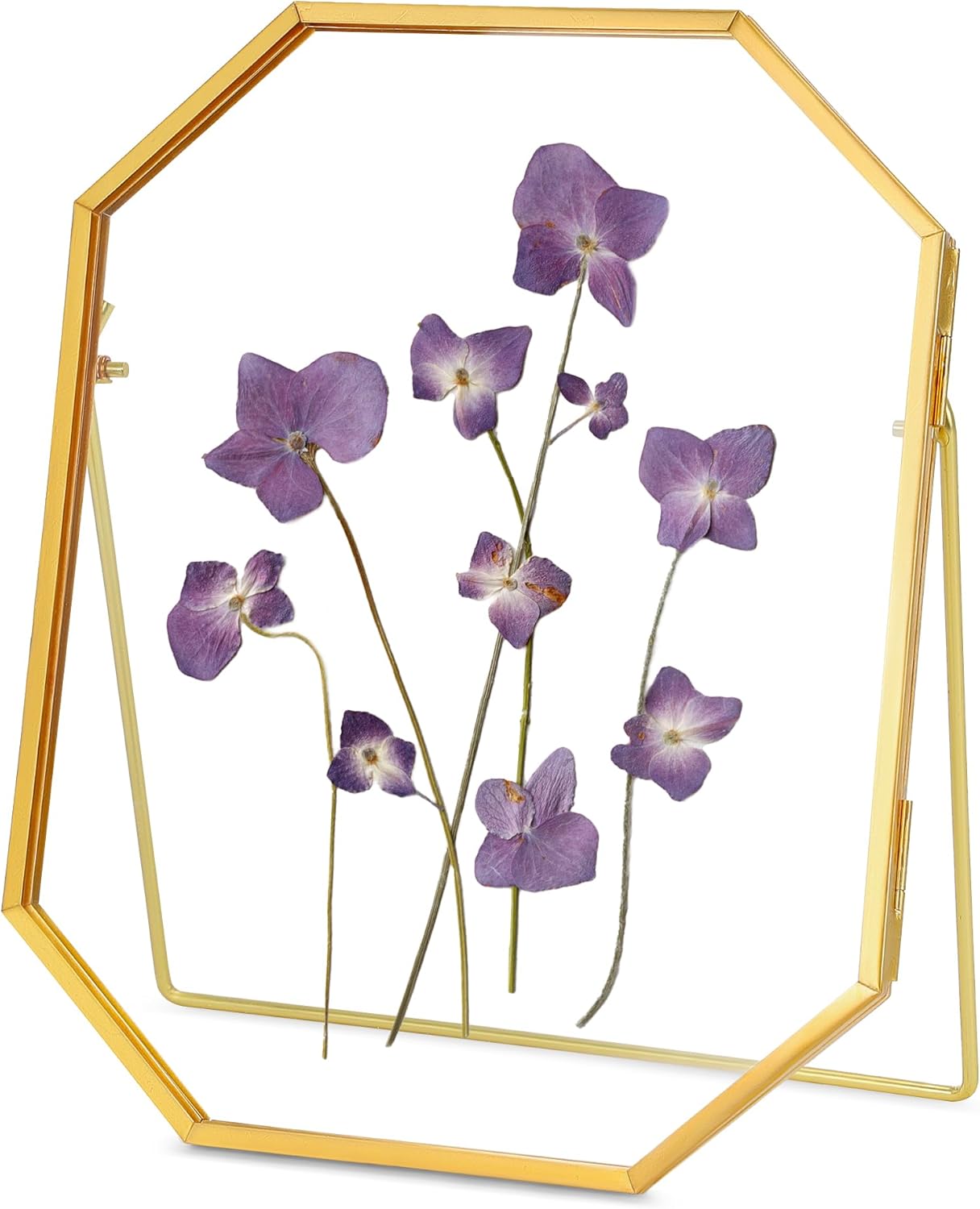 Glass Pressed Flower Frame Handmade, Metal Floating Picture Frame, Double Glass for Tabletop Display, Unique Brass Octagon, Gold, 6x8 Inches (Frame Only)