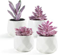 VIVERIE Mini Succulents Plants Artificial in Pots, Christmas Small Fake Plants for Home Decor Indoor for Women, White Ceramic Faux Succulents, Set of 4, Gifts for Mom-Purple
